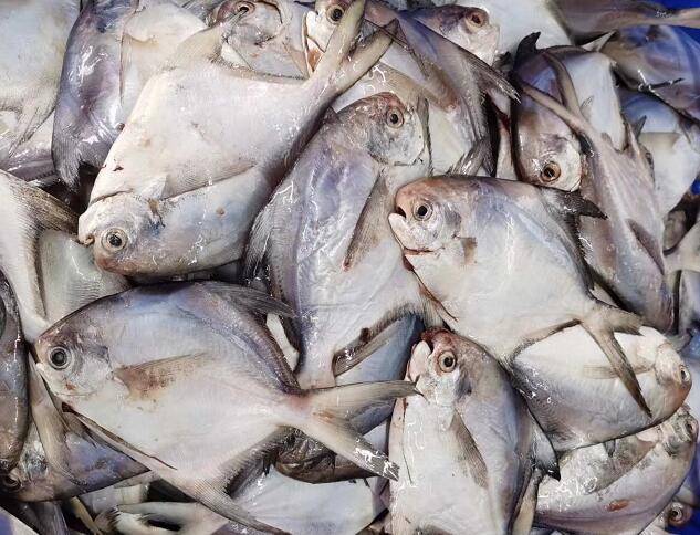 1589773015151743.jpg 生鲜配送"QQ截图20200518113546.jpg"/