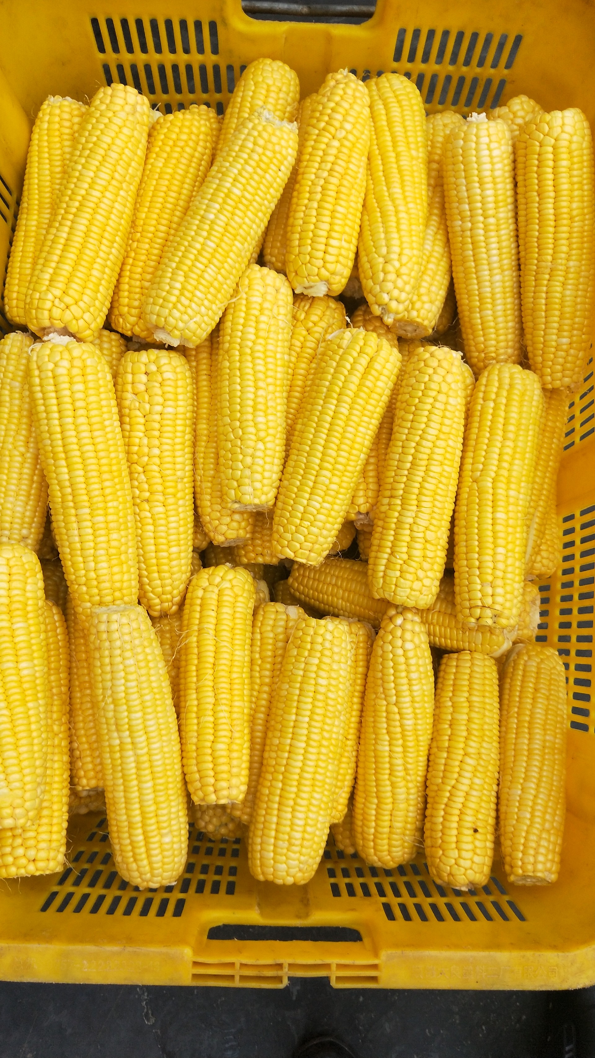 1594948815142862.jpg 微信图片_20191227110739.jpg