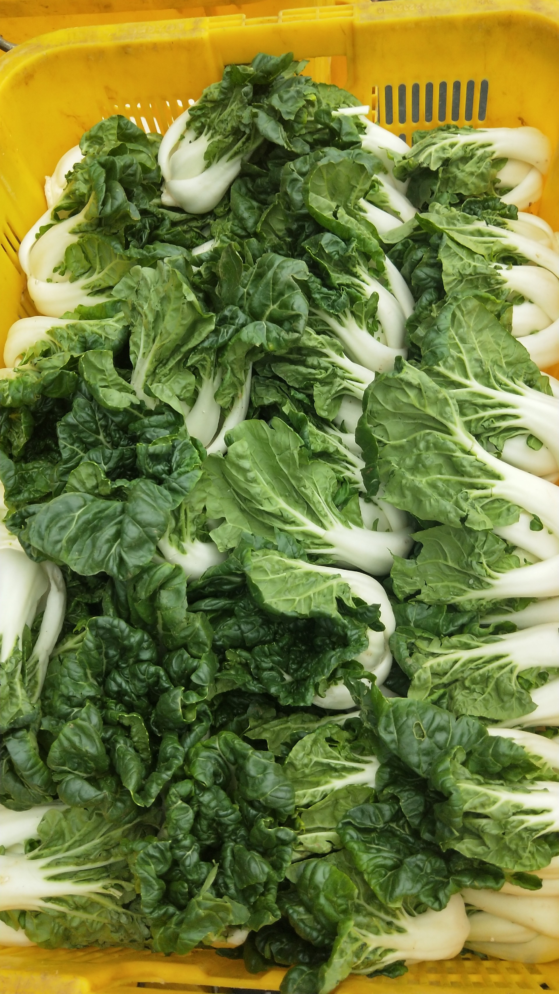 1595296101145943.jpg 微信图片_20191227110825.jpg