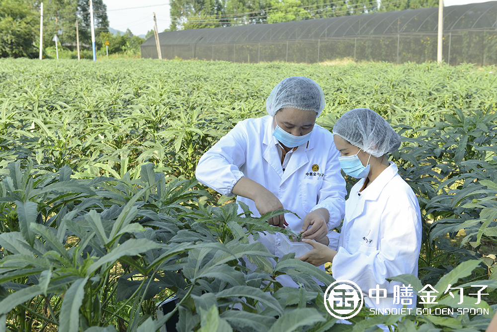 1618817436114078.png 17.png