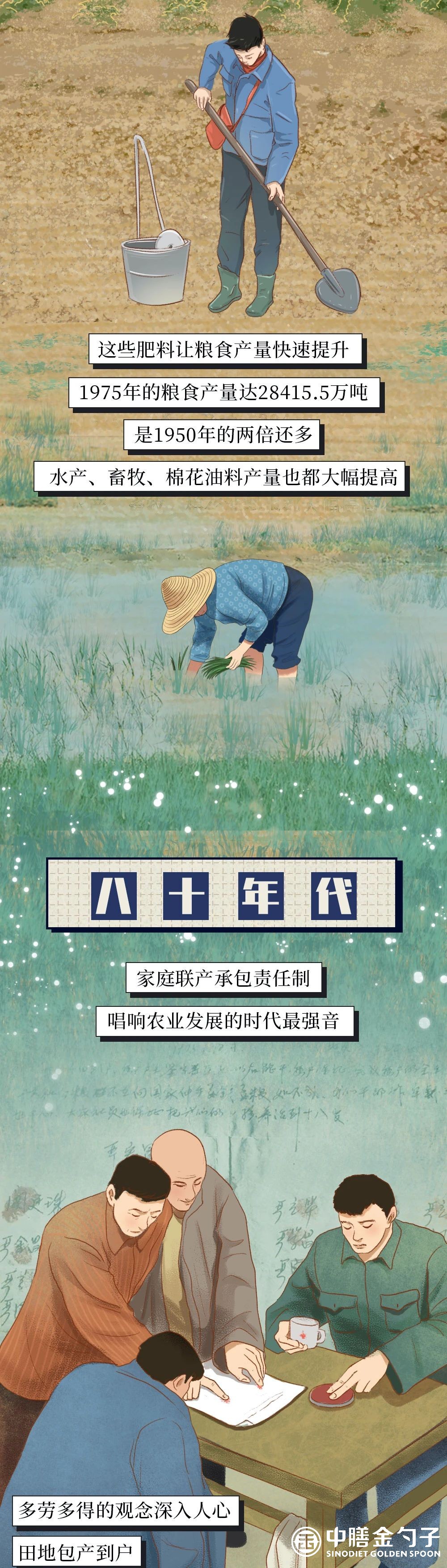 1634537560440970.jpg 10.jpg