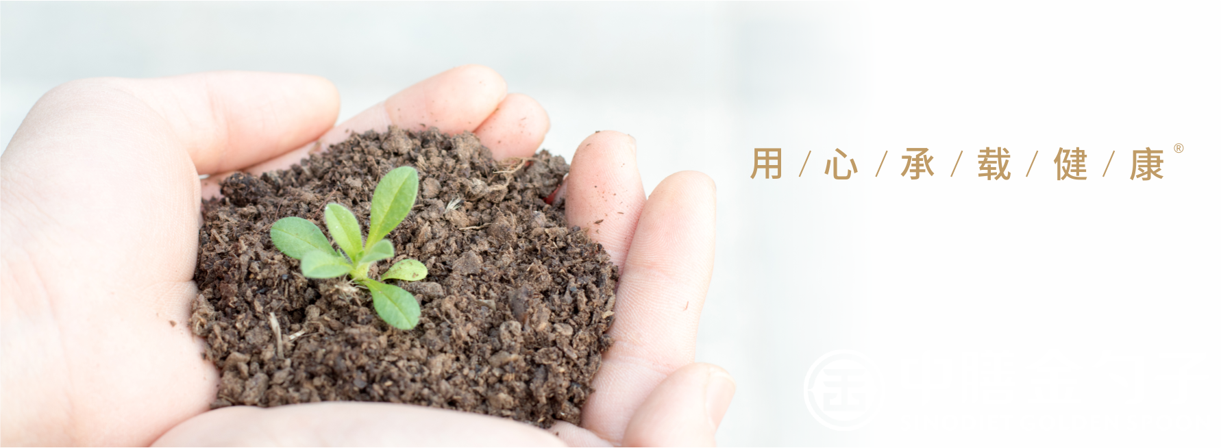 1652854112535141.png 顶关注.png